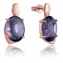 Pendientes VICEROY Jewels 9012E100-57 plata de ley
