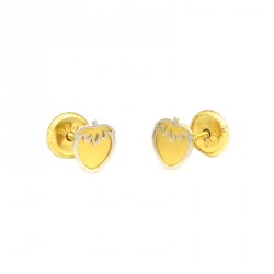 Arracades or  bicolor18 kts flor nácar