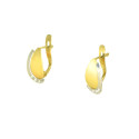 Pendientes oro 18 kts bicolor circonitas